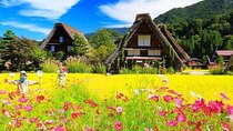 Tour to Hida Takayama and Shirakawa-go Gassho Village from Nagoya