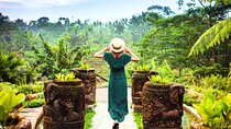 Bali: Monkey Forest, Rice Terrace and Ubud Market Guided Tour