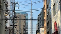 Private Tour in Tokyo