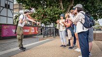 Small-Group London's Best Sights Walking Tour, Kids Join Free!