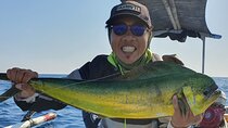 Mahi - Mahi Fishing Tour at North Bali Indonesia 