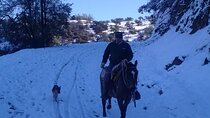 Horseback Riding in Santiago with Andes Views and Hotel Pickup