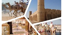 Cultural & Thrills: Sheikh Faisal Museum & Camel Race Adventure