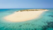 Explore Tiran Island Snorkeling Diving & Lunch - Sharm El Sheikh