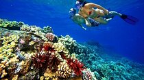 Explore Tiran Island Snorkeling Lunch & Transfer -Sharm El Sheikh