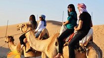 Dubai Morning & evening Desert Safari Tours