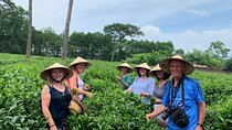 Bavi Eco Tour From Hanoi Authentic, Local Life and Non Touristy