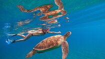 Abu Dabbab Private Full Day Snorkel with Turtles & Lunch-Hurghada