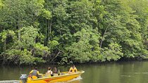 Bintan Mangrove or Fireflies Discovery Tour