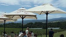 Yering Winery + LV Chandon Winery + Puffing Billy Steam Train