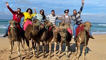 Discover Tangier in a Full Day Tour with Camel ride