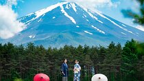 1 Day Tour to Oshino Hakkai Ole Hot Spring in Mount Fuji