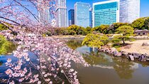 Tokyo: Japanese Garden Walking Tour with Tea and Sweets