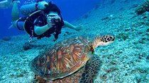 3 Hour Scuba Diving Experience in Dubai with transfer 