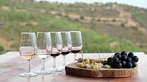 All inclusive, 20 glasses Full Day Wine Tour in Cape Town