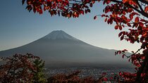 Tokyo: Super Ultimate Mt. Fuji Tour