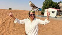 Dubai Premium Red Dunes Safari, Quad Bike, Camels & BBQ
