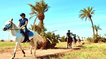 Horseback Riding Trip through Palmeraie Grove 2 Hours - Marrakech