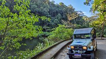 Jeep'n'Culture: Rocinha Favela and Tijuca Rainforest Tour