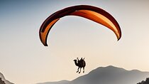 paragliding in Agafay Desert with Camel Ride 