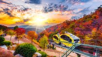 Pocheon Art Valley & Fruit Picking Day Tour from Seoul(EG Tour)
