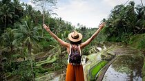 Private Ubud Day Tour Waterfalls Sacred Monkeys and Rice Fields