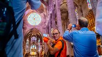 Palma Premium Tour from North Area with guided walk and Cathedral