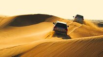 Half Day Safari Tour With Camel Ride and Sand Boarding in Doha
