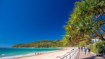 Noosa Heads and Eumundi Markets Private Tour from Brisbane