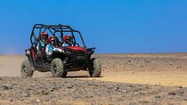 Exciting Buggy Adventure in Agafay Desert & Transfers - Marrakesh
