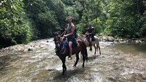 Horseback riding coffee farms, forest and river boquerón