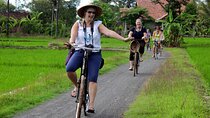 Traditional Village Bicycle Tour at Yogyakarta with Transfer