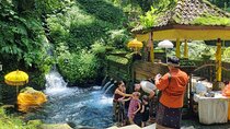 Bali Customizable Multi Language Tour with Driver-Guide