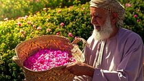 Damascus Roses - Discover the secrets of Al Jabal Al Akhdhar