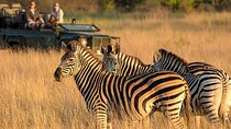 Half Day Safari Tala Game Reserve and Durban City Tour
