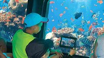 Semi Submarine Journey, Explore Underwater Wonders :Marsa Alam