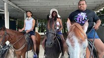 Horseback Experience in Miami 