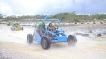 Punta Cana Buggy Tour, Blue Lagoon, Dominican Village and Lunch