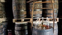 Private Rum Factory Tasting Tour with Cave of Wondrs Visit