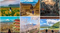 Mount Fuji Full Day Private Customized English Tour With Pick Up
