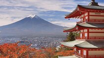 Customizable Private Mt. Fuji Tour with Van