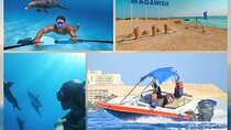 Hurghada: Dolphin House and Magawish Island by Private Speedboat