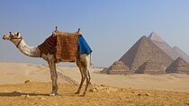 Private Half Day Giza Pyramids Tour with camel & Lunch
