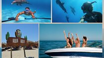 FullDay Private Speedboat Dolphin House&Hula Hula Island-Hurghada