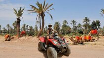 Marrakech: 2-Hour Quad Bike & Camel Ride in Palmeraie