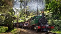 Puffing Billy Train and Penguins Wildlife Tour