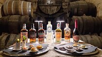 Palma Distillery Tour with 6 Spirits and Gourmet Tapas Tasting