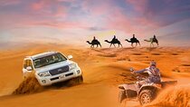 Desert Safari with Camel Riding and BBQ Dinner
