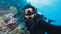Scuba Diving Experience for Beginners & Lunch - Sharm El Sheikh