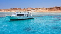 Tiran Island , Snorkeling & Diving with Lunch – Sharm El Sheikh